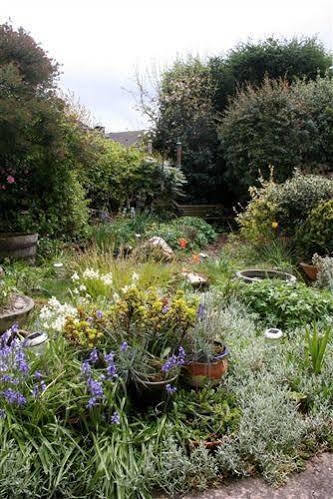 Mere Cottage B & B Alsager Dış mekan fotoğraf